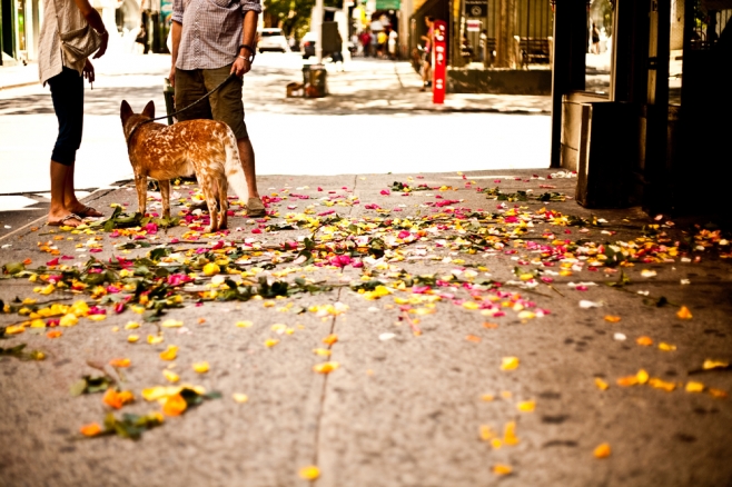 2011-shotbyjake-com-0219-2 2011-shotbyjake-com-0219-2